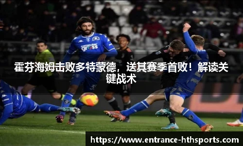 hth体育官网